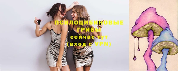 бошки Ельня