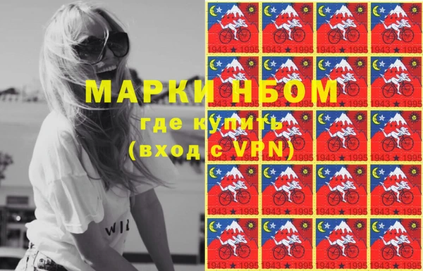 бошки Ельня