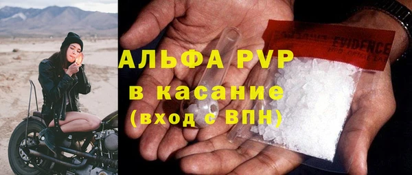 бошки Ельня