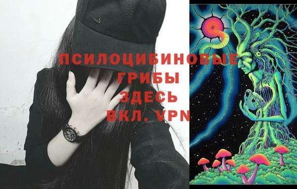бутират Елизово