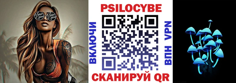 цена   Сенгилей  гидра ONION  Галлюциногенные грибы Cubensis 