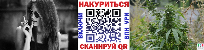 Канабис SATIVA & INDICA  hydra ТОР  Сенгилей 